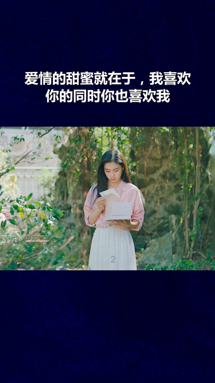 无尽的拉格朗日 个人协议